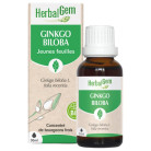 Ginkgo Biloba Bio 30ml Herbalgem