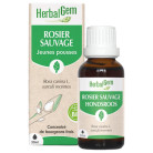 Rosier Sauvage Bio 30ml Herbalgem