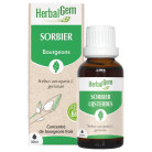 Sorbier Bio 30ml Herbalgem