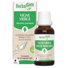 Vigne Vierge Bio 30ml Herbalgem