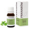 Huile Essentielle Menthe Poivrée 10ml Pranarôm