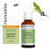 Huile Essentielle Gaulthérie Odorante Bio 30ml Pranarôm