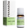 Huile Essentielle Laurier Noble 5ml Pranarôm